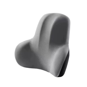 surround lumbar pillow