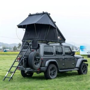 Polaris Plus